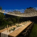 25 Dreamy Minimalist Backyard Wedding Reception Ideas